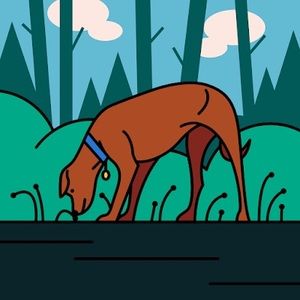 Meet your Posher, Militza